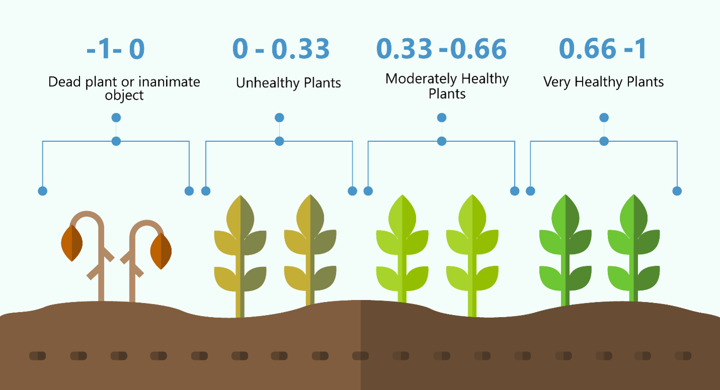 Illustration showing NDVI values from -1 to 1 as indicators of plant health. Values from -1 to 0 represent dead plants or inanimate objects, 0 to 0.33 represent unhealthy plants, 0.33 to 0.66 represent moderately healthy plants, and 0.66 to 1 represent very healthy plants. Plant illustrations progress from brown, wilted vegetation to increasingly vibrant green, upright plants as NDVI values rise.